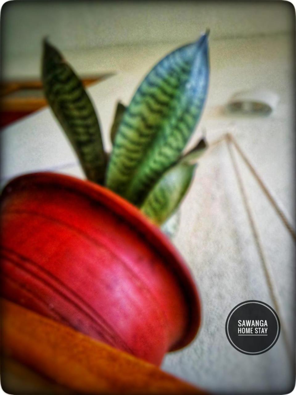 Sawanga Home Stay Weligama Esterno foto